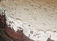 Mohrenkopfkuchen