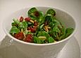 Winterlicher Feldsalat