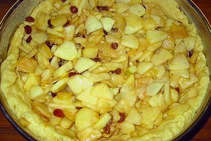 Apfelkuchen mit Rosinen und Zimt