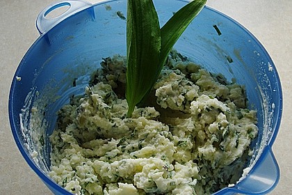 Erd&auml;pfelk&auml;se 1