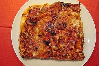 Pizzateig 15