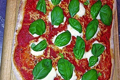 Pizzateig 5