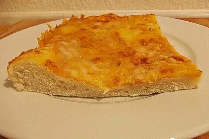 Pizzateig 19
