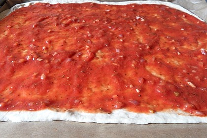 Pizzateig 10