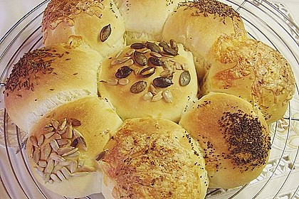 B&auml;ckerschnecke