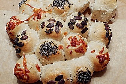 B&auml;ckerschnecke 1