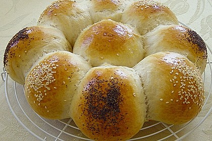 B&auml;ckerschnecke 2