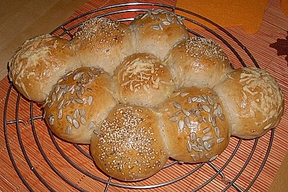 B&auml;ckerschnecke 3