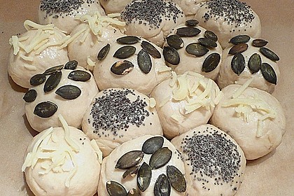 B&auml;ckerschnecke 4