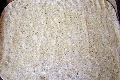 Pizzateig