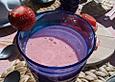 Erdbeer - Buttermilch Drink
