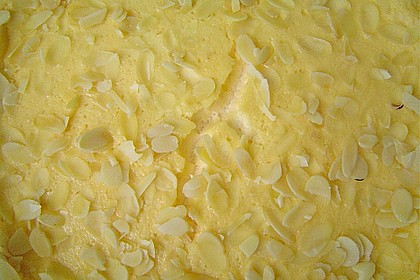 Rahmkuchen 48