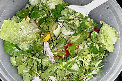 Blitz - Gartensalat mit Schafsk&auml;se 9