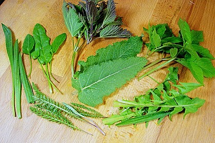 Wildkräuteröl, selbstgemacht 5