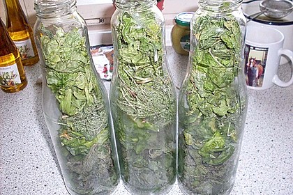 Wildkräuteröl, selbstgemacht 4