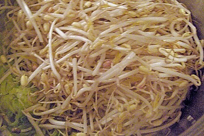 Lachs auf Lauchgem&uuml;se 3
