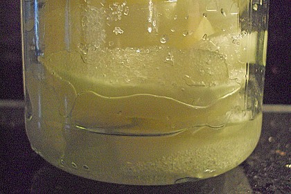 Zwiebelsaft 4