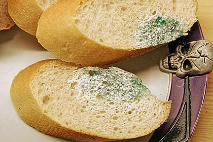 Schimmeliges Brot 2