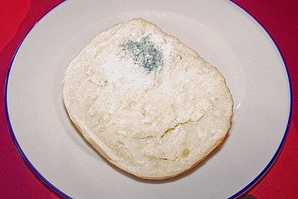Schimmeliges Brot 7