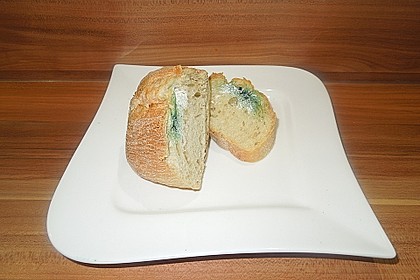 Schimmeliges Brot 5