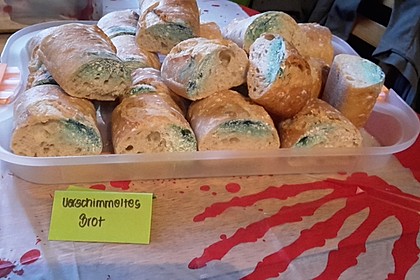 Schimmeliges Brot 1