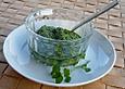 Vogelmiere - Pesto