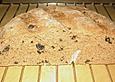 Vollkornbrot mit Oliven