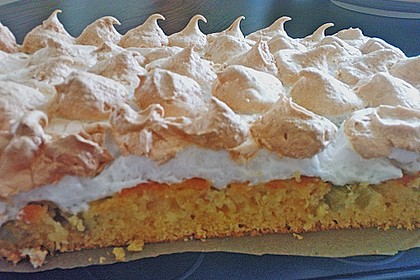 Rhabarberkuchen unter Wolken 4