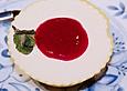 Bayerische Creme mit Himbeeren