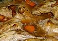 Hase in Salbei - Stockschw&auml;mmchensauce