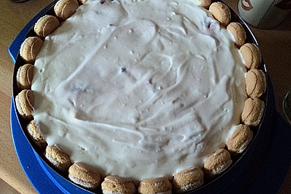 Quark - Sahne - Torte mit Himbeeren 15