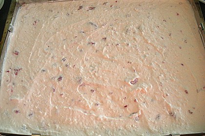 Quark - Sahne - Torte mit Himbeeren 17