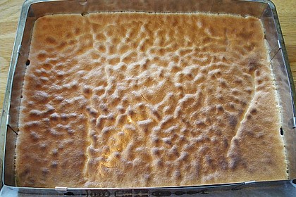 Quark - Sahne - Torte mit Himbeeren 19
