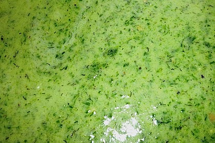 Franz&ouml;sische Salatsauce