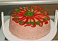 Vorspeisen - Torte