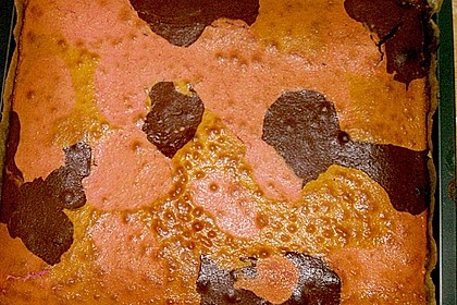 Blechkuchen 5