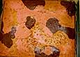 Blechkuchen
