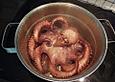 Oktopus auf galicische Art