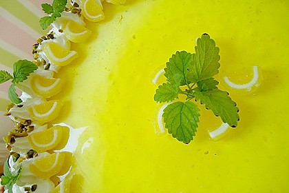 Zitronen - Joghurt - Torte 27