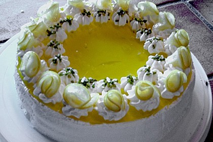 Zitronen - Joghurt - Torte 22