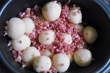 Knutschies