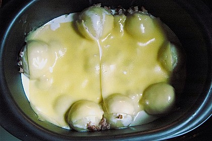 Knutschies 1