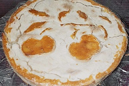 Gedeckter Apfelblechkuchen 1