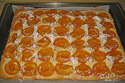 Marillenkuchen 1