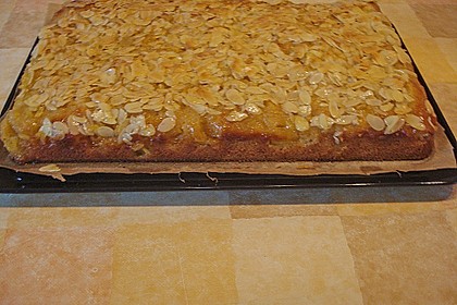 Apfel - Mandel - Kuchen mit Eierlikör 45