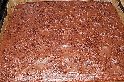 Schoko - Nuss - Kuchen 4