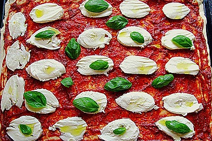 Pizza Margherita 22