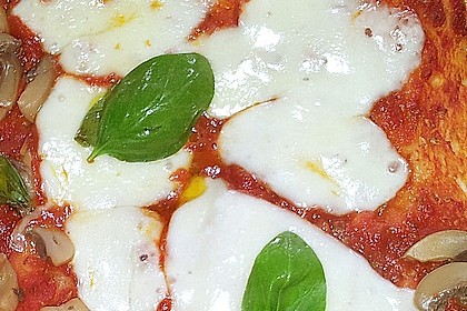 Pizza Margherita 15