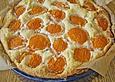 Kokoscreme - Kuchen VI  (Aprikosen)