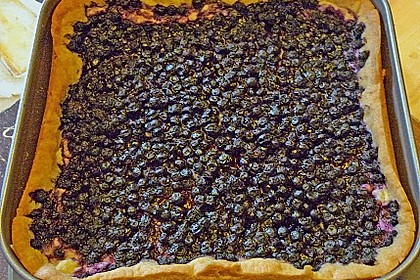 Fruchtiger Beeren - Vanille - Kuchen 12